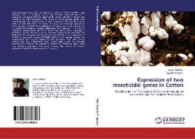 Expression of two insecticidal genes in Cotton