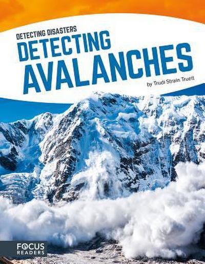 Detecting Avalanches