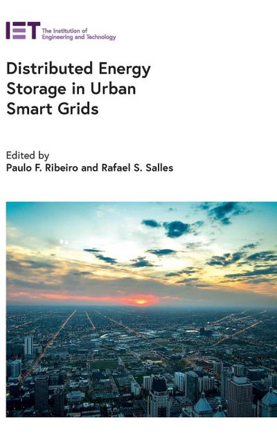 Distributed Energy Storage in Urban Smart Grids