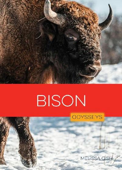 Bison