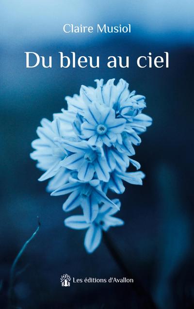 Musiol, C: Du bleu au ciel