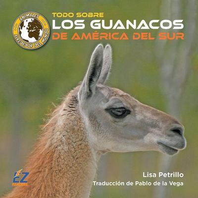Todo Sobre Los Guanacos de América del Sur