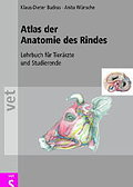 Atlas der Anatomie des Rindes