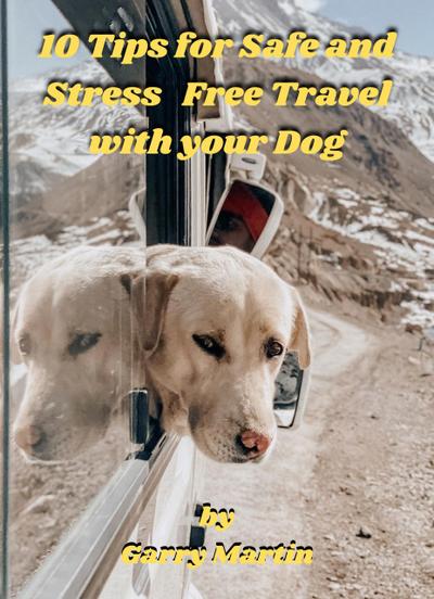 10 Tips for Safe and Stress Free Travel with your Dog