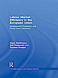 Labour Market Efficiency in the European Union
