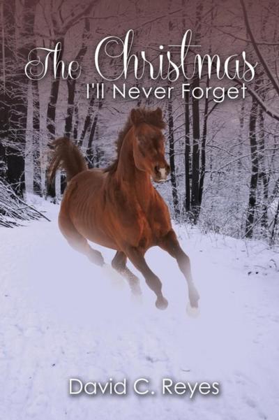 Christmas I’ll Never Forget