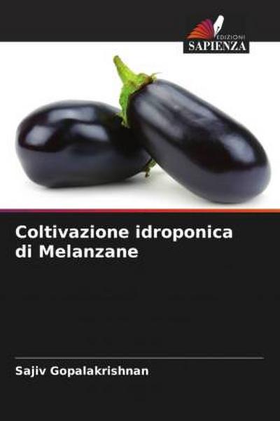 Coltivazione idroponica di Melanzane