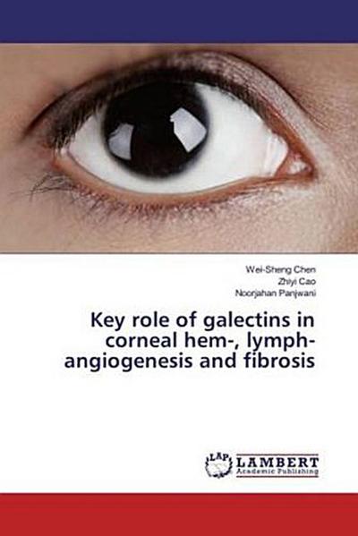 Key role of galectins in corneal hem-, lymph-angiogenesis and fibrosis