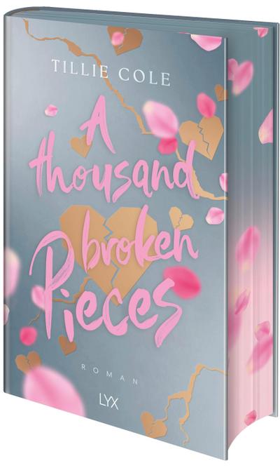 A Thousand Broken Pieces: Special Edition