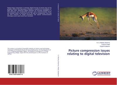 Picture compression issues relating to digital television