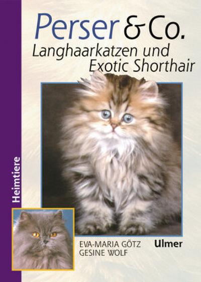 Perser und Co. Langhaarkatzen und Exotic Shorthair