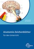 Anatomie-Zeichenblätter Arbeitsheft: für den Unter ...