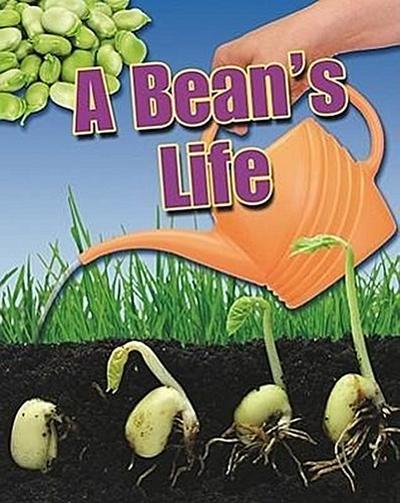 A Bean’s Life