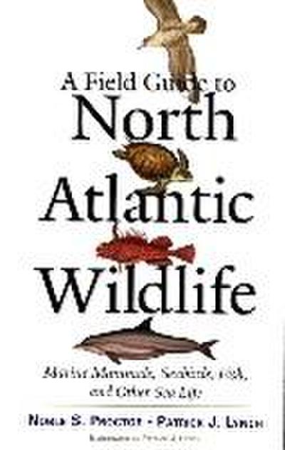 A Field Guide to North Atlantic Wildlife: Marine Mammals, Seabirds, Fish, and Other Sea Life
