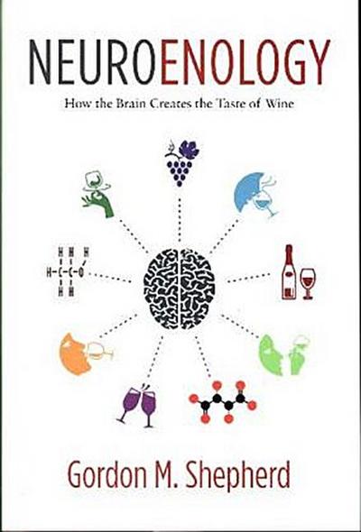 Neuroenology 