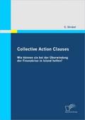 Collective Action Clauses: Wie können sie bei der 