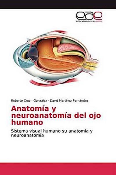 Anatomía y neuroanatomía del ojo humano