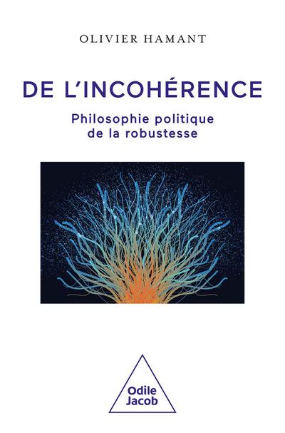 De l’incohérence