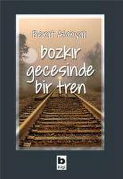 Bozkir Gecesinde Bir Tren