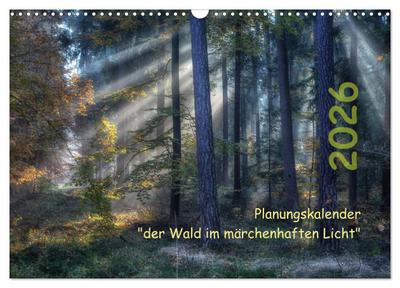 Planungskalender Märchenwald 2026 (Wandkalender 2026 DIN A3 quer), CALVENDO Monatskalender