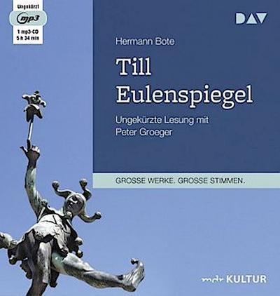 Till Eulenspiegel. Ein kurzweiliges Buch von Till Eulenspiegel aus dem Lande Braunschweig in 96 Historien, 2 Audio-CD, 2 MP3