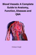 Blood Vessels: A Complete Guide to Anatomy, Function, Diseases and Q&A