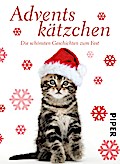 Adventskätzchen: Die schönsten Geschichten zum Fest