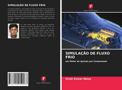 SIMULAÇÃO DE FLUXO FRIO