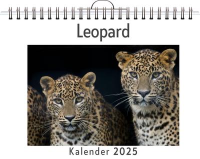 Schmid, M: Leopard