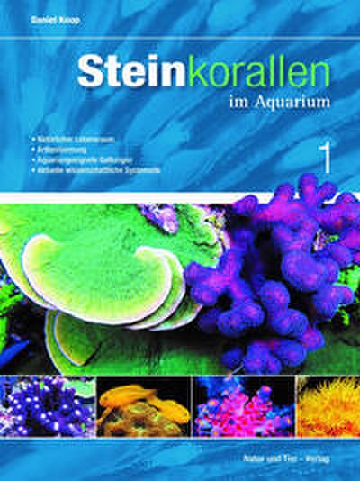 Steinkorallen im Aquarium 1