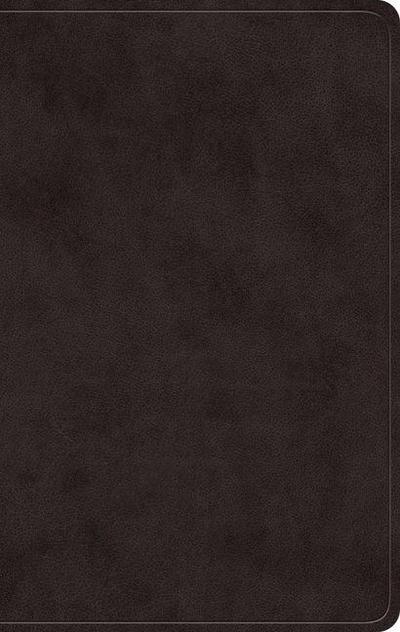 ESV Giant Print Value Personal Size Bible (Trutone, Black)