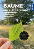 Bäume am Blatt erkennen - 78 Laub- und Nadelgehölze. Blätter in Originalgröße
