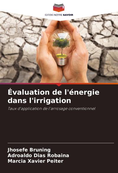 Évaluation de l’énergie dans l’irrigation