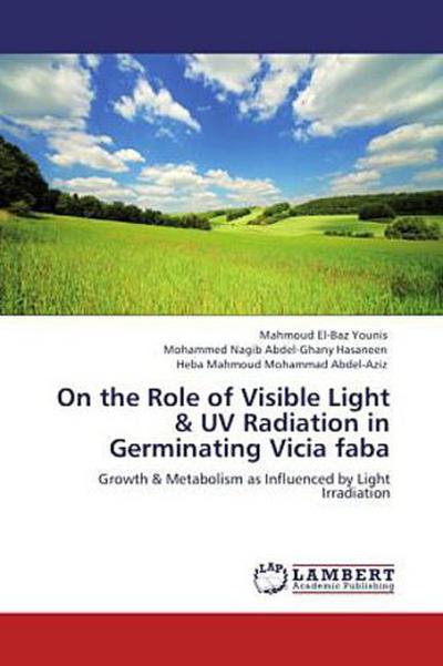 On the Role of Visible Light & UV Radiation in Germinating Vicia faba