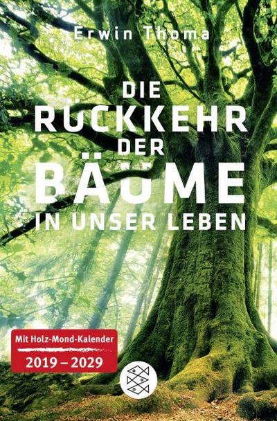 Die Rückkehr der Bäume in unser Leben