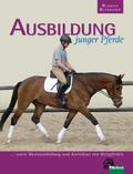 Ausbildung junger Pferde