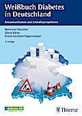 Weißbuch Diabetes in Deutschland: Bestandsaufnahme und Zukunftsperspektiven