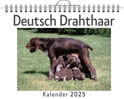 Hartmann, S: Deutsch Drahthaar