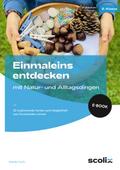 Einmaleins entdecken mit Natur- und Alltagsdingen