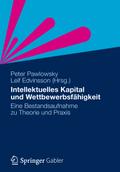Intellektuelles Kapital und Wettbewerbsfähigkeit