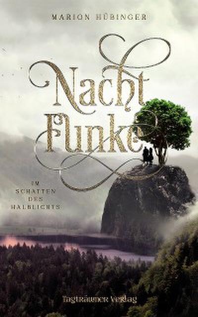 Nachtfunke 2