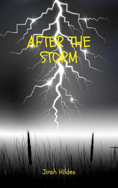 After The Storm (The Hildenverse)