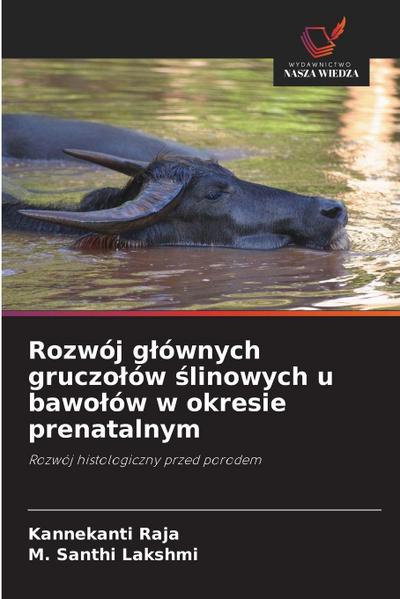 Rozwój g¿ównych gruczo¿ów ¿linowych u bawo¿ów w okresie prenatalnym