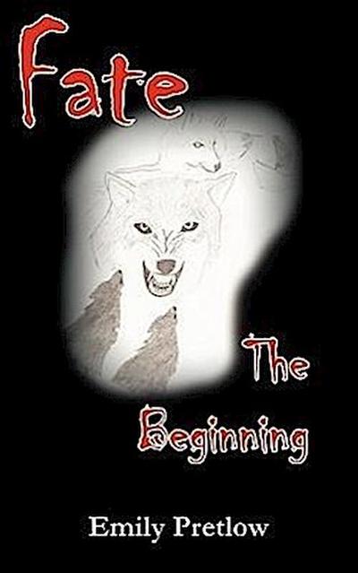 Fate the Beginning