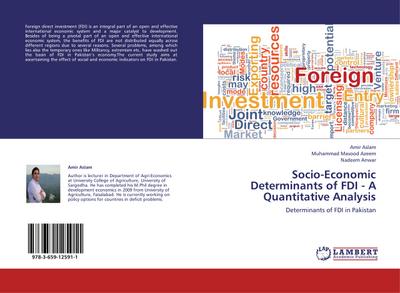 Socio-Economic Determinants of FDI - A Quantitative Analysis