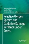 Reactive Oxygen Species and Oxidative Damage in Plants Under Stress