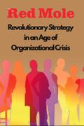 Revolutionary Strategy in an Age of Organizational Crisis