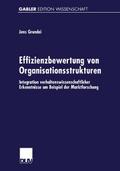 Effizienzbewertung von Organisationsstrukturen