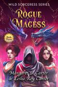 Rogue Magess (Wild Sorceress Series, #3)