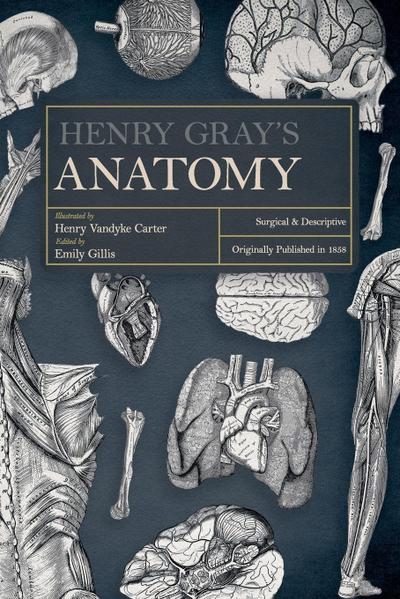 Henry Gray’s Anatomy